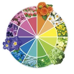 Besttoy Discover - Experimentierbaukasten - Bewässerungsanlage