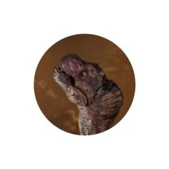 Dinowelt 3er Spielset - 24219 -Spielparadies Verkauf 4016096251024 dinosaurier b 24219 b 25102 01